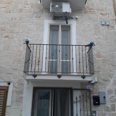 Incantevole Rosa Blu'
